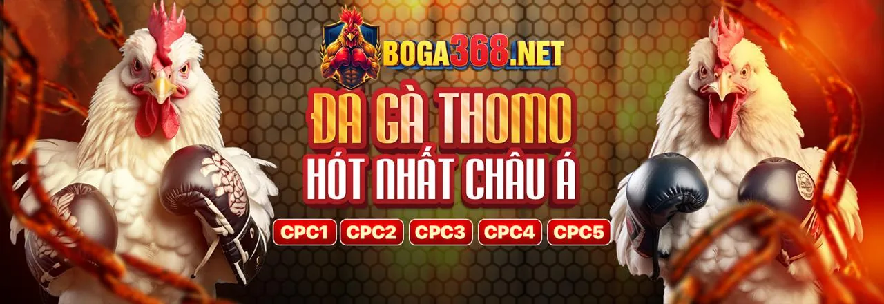 Hình ảnh cá cược thể thao bjj88